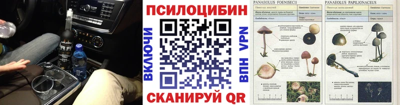 Галлюциногенные грибы Psilocybe  маркетплейс клад  Таганрог 