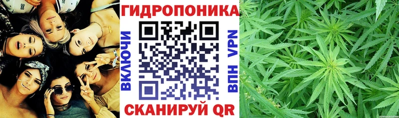Канабис планчик  купить наркоту  Таганрог 